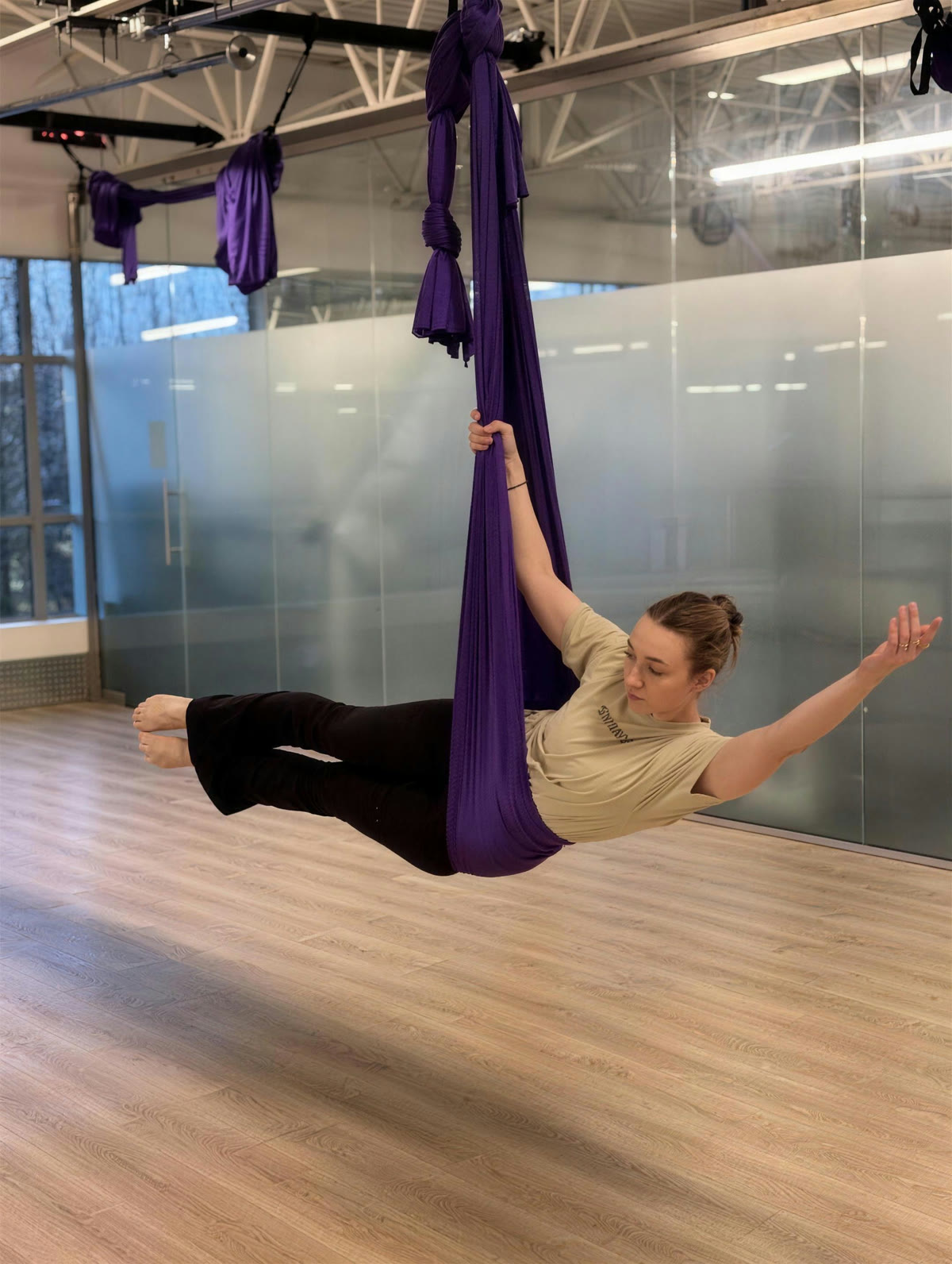 Pole and aerial