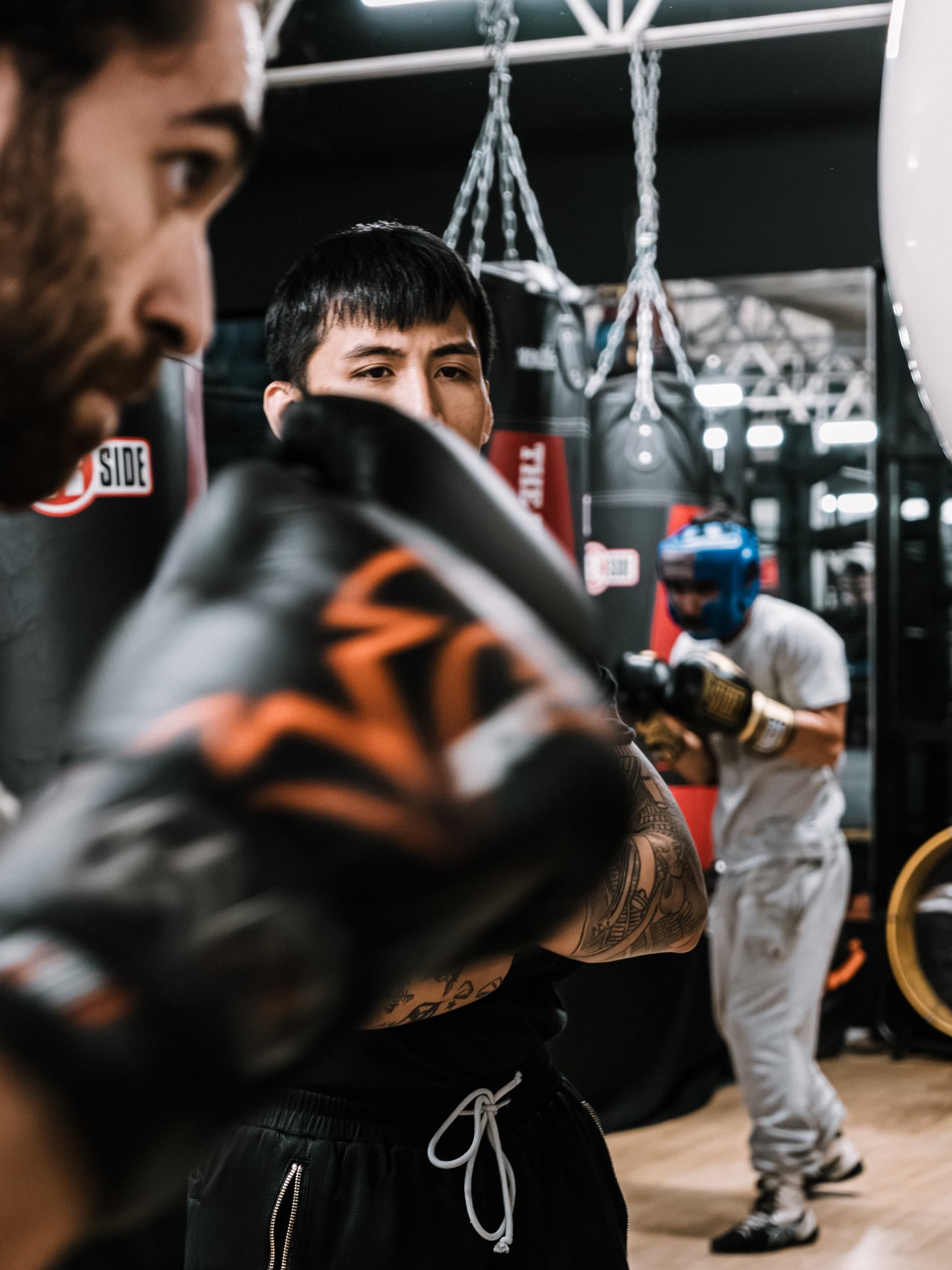 Boxing gloves